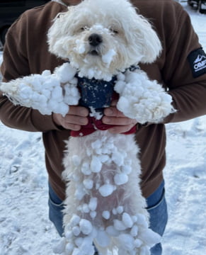 ◎3月21日定休日のお知らせ◎